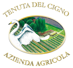 www.tenutadelcigno.com