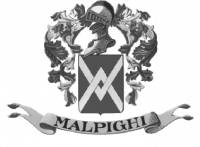 Famiglia Malpighi