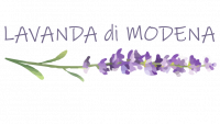 Lavanda di Modena®