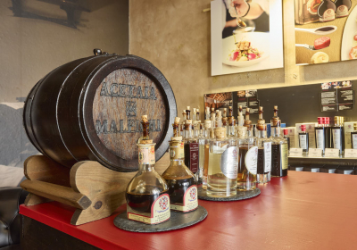 ShowRoomAcetaiaMalpighi_ph Houston202600003.jpg