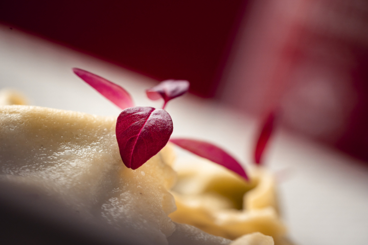 Plin fonduta IGP. Bordeaux00007.jpg