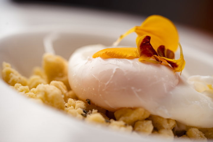 Uovo camicia IGP bronzo00002.jpg