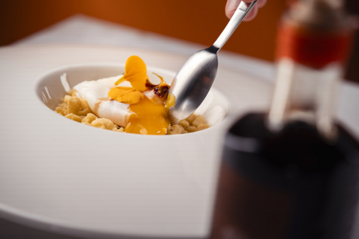 Uovo camicia IGP bronzo00008.jpg